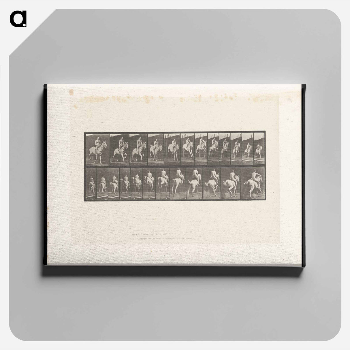 アートパネル-Man on Horse Jumping
 - エドワード マイブリッジ Canvas.