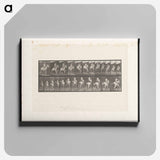 アートパネル-Man on Horse Jumping
 - エドワード マイブリッジ Canvas.