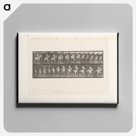 アートパネル-Man on Horse Jumping
 - エドワード マイブリッジ Canvas.