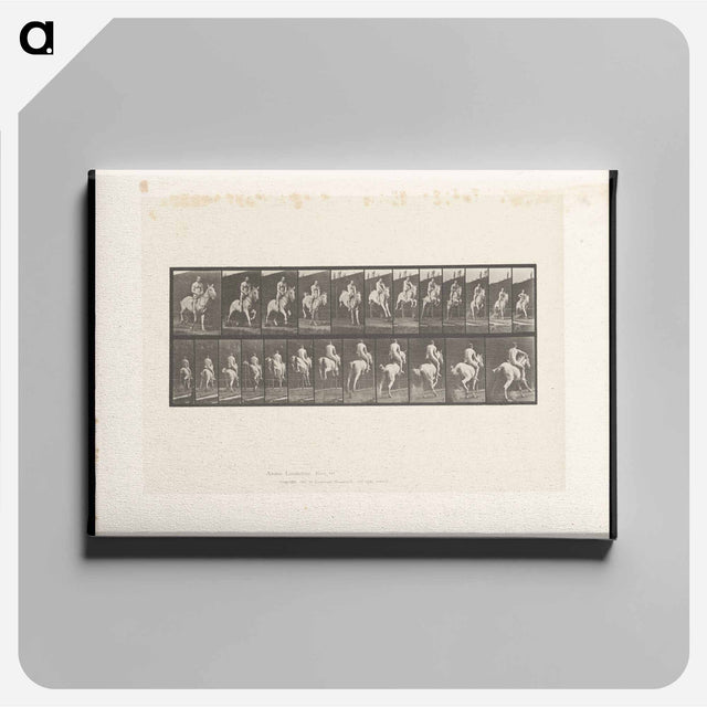 アートパネル-Man on Horse Jumping
 - エドワード マイブリッジ Canvas.