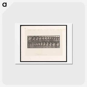 アートポストカード-Man on Horse Jumping
 - エドワード マイブリッジ Postcard.