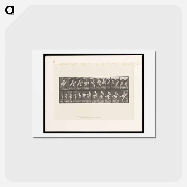 アートポストカード-Man on Horse Jumping
 - エドワード マイブリッジ Postcard.