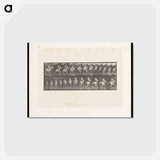 アートポストカード-Man on Horse Jumping
 - エドワード マイブリッジ Postcard.