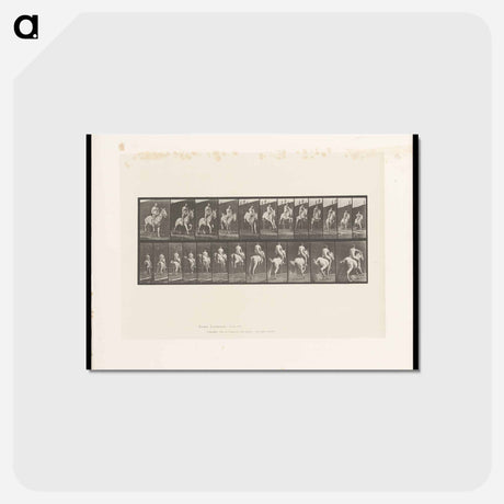 アートポストカード-Man on Horse Jumping
 - エドワード マイブリッジ Postcard.