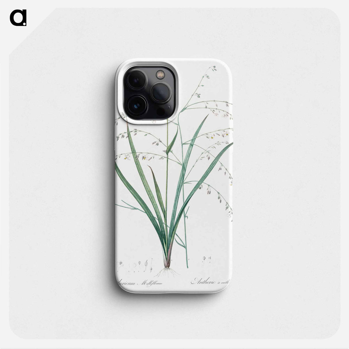 Pale vanilla lily illustration - ピエール ジョゼフ ルドゥーテ Phone Case.