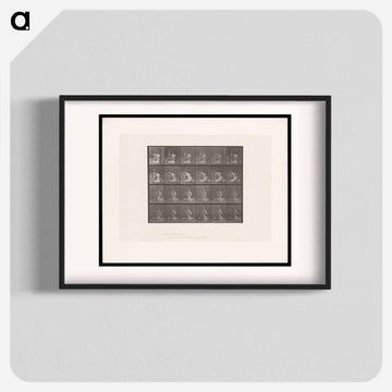 Bouquet
 - エドワード マイブリッジ Poster.