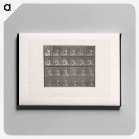 アートパネル-Bouquet
 - エドワード マイブリッジ Canvas.