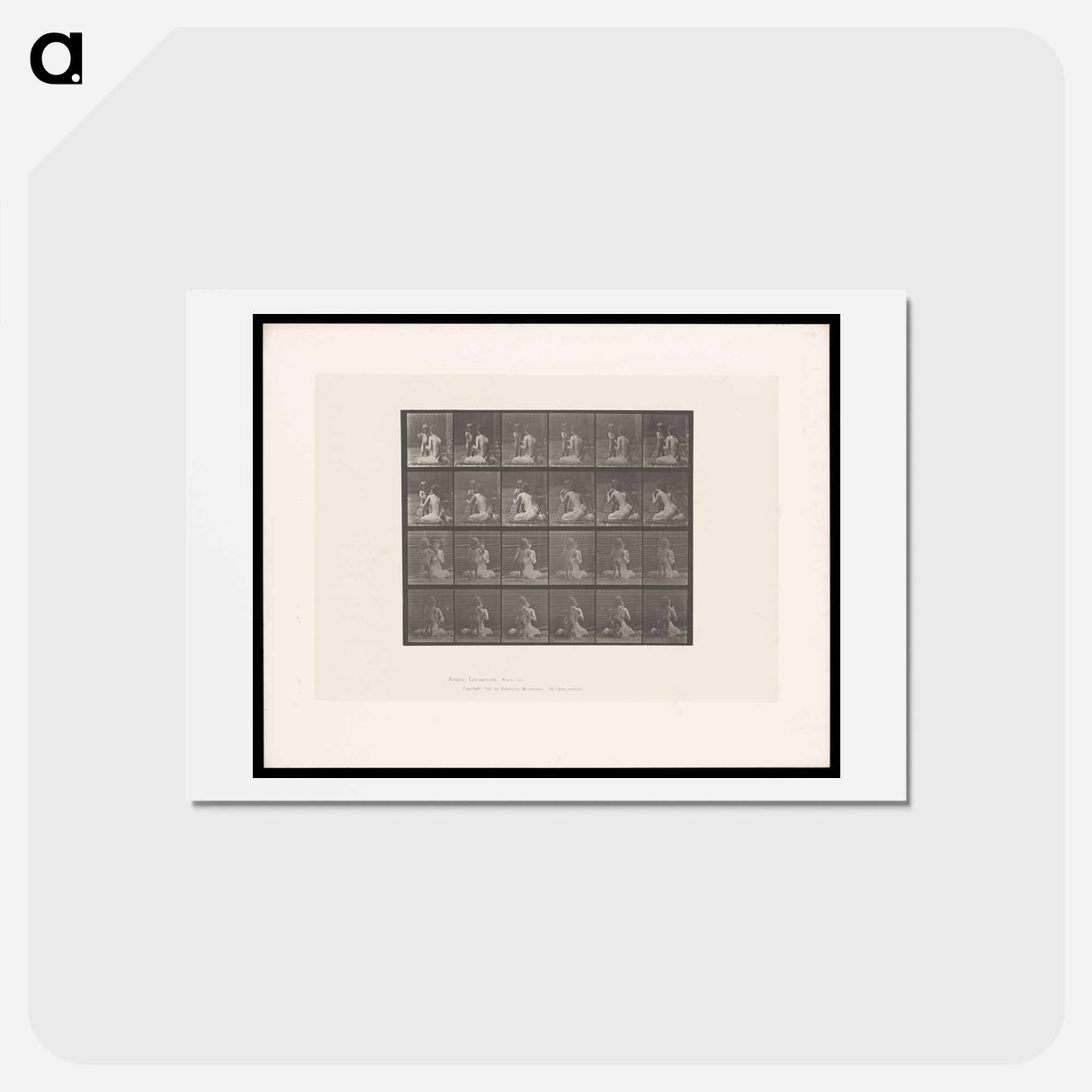 アートポストカード-Bouquet
 - エドワード マイブリッジ Postcard.