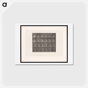 アートポストカード-Bouquet
 - エドワード マイブリッジ Postcard.