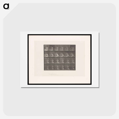 アートポストカード-Bouquet
 - エドワード マイブリッジ Postcard.