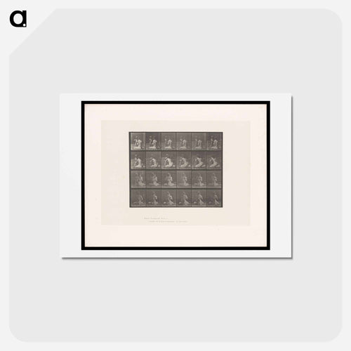 Bouquet
 - エドワード マイブリッジ Postcard.