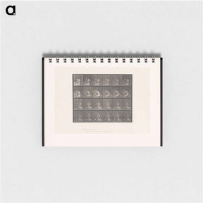 アートメモ帳-Bouquet
 - エドワード マイブリッジ Memo.