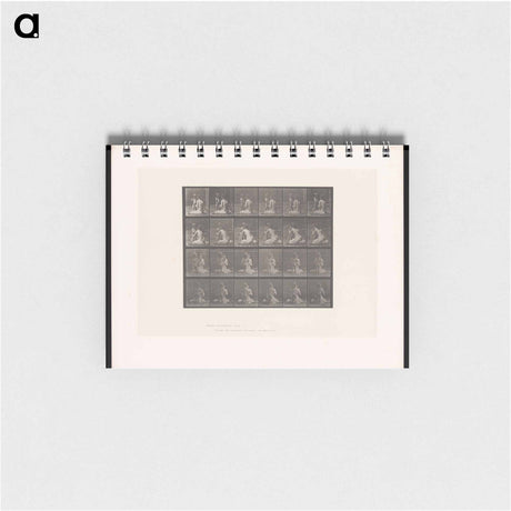 アートメモ帳-Bouquet
 - エドワード マイブリッジ Memo.