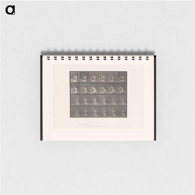 アートメモ帳-Bouquet
 - エドワード マイブリッジ Memo.