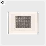 アートポストカード-Bouquet
 - エドワード マイブリッジ Postcard.