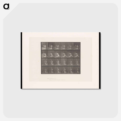 アートポストカード-Bouquet
 - エドワード マイブリッジ Postcard.