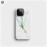 Phalangium bicolor - ピエール ジョゼフ ルドゥーテ Phone Case.