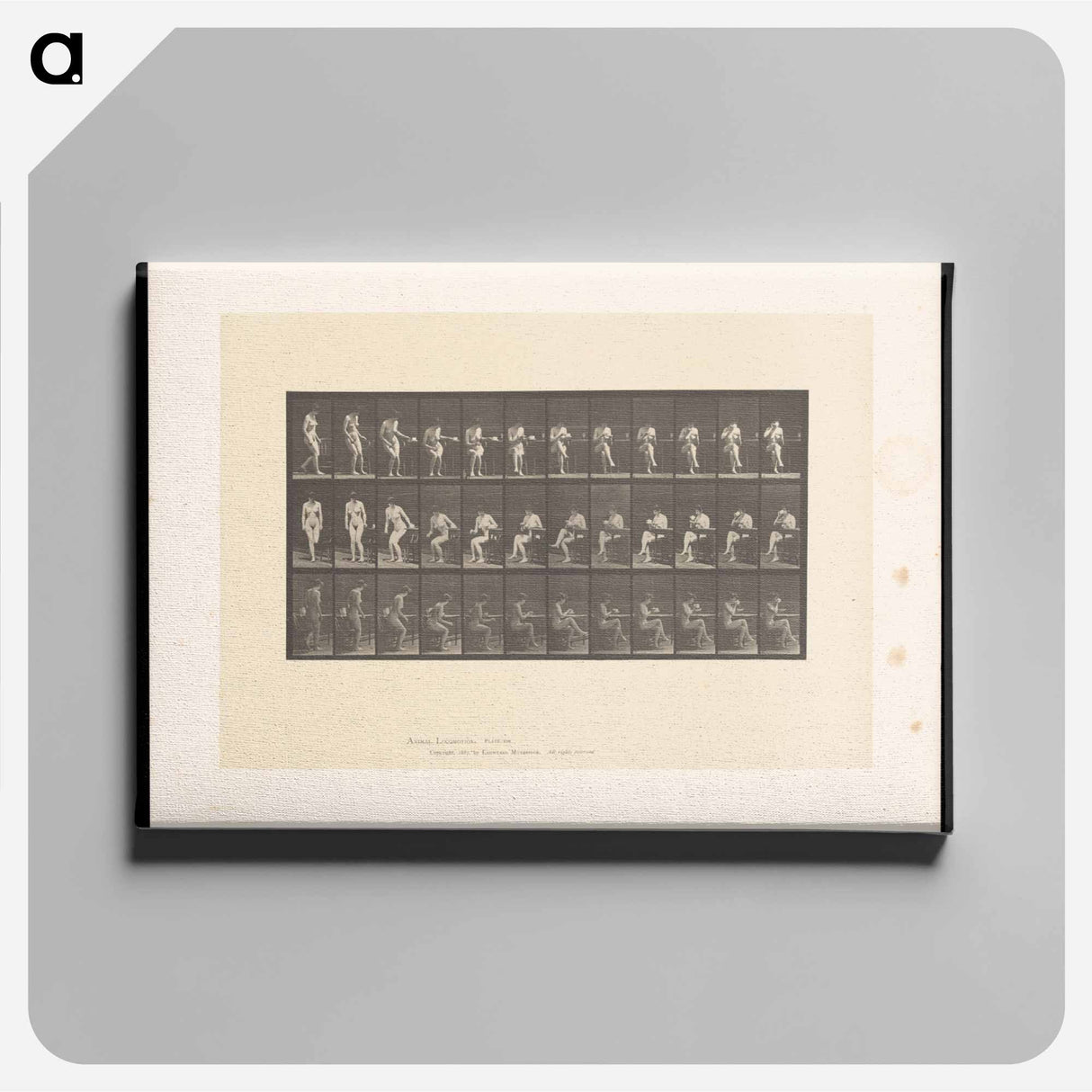 アートパネル-Woman with Cup
 - エドワード マイブリッジ Canvas.