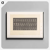 アートパネル-Woman with Cup
 - エドワード マイブリッジ Canvas.