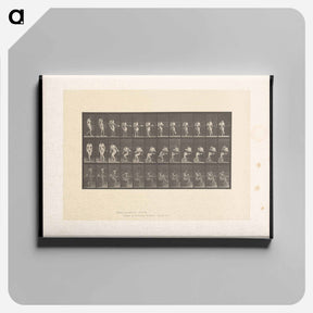 アートパネル-Woman with Cup
 - エドワード マイブリッジ Canvas.