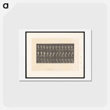 アートポストカード-Woman with Cup
 - エドワード マイブリッジ Postcard.