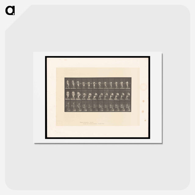 アートポストカード-Woman with Cup
 - エドワード マイブリッジ Postcard.