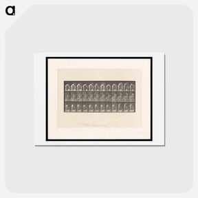アートポストカード-Woman Washing
 - エドワード マイブリッジ Postcard.