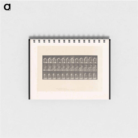 アートメモ帳-Woman Washing
 - エドワード マイブリッジ Memo.