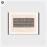 アートポストカード-Woman Washing
 - エドワード マイブリッジ Postcard.