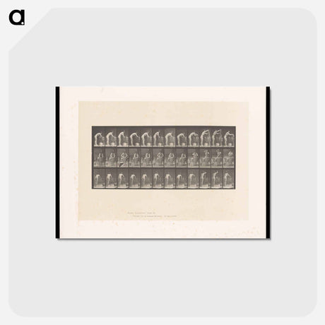 アートポストカード-Woman Washing
 - エドワード マイブリッジ Postcard.