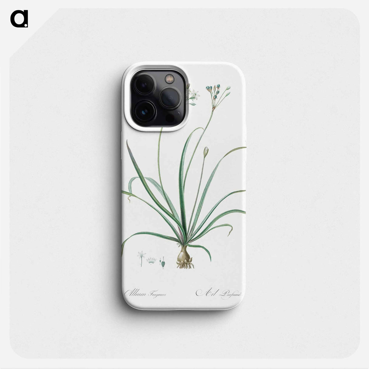 Allium fragrans illustration - Pierre Joseph Redouté Phone Case.