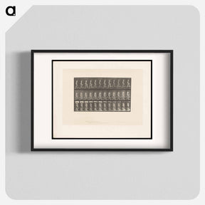 アートポスター-Ascent with Buckets
 - エドワード マイブリッジ Poster.