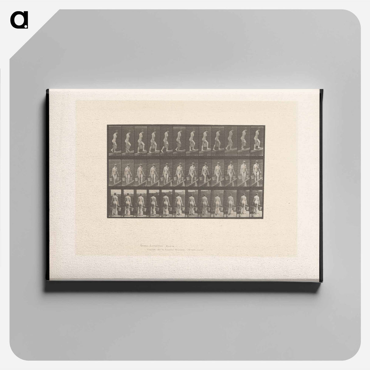 アートパネル-Ascent with Buckets
 - エドワード マイブリッジ Canvas.