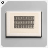 アートパネル-Ascent with Buckets
 - エドワード マイブリッジ Canvas.