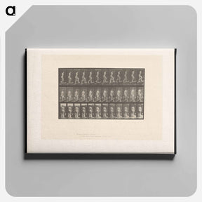 アートパネル-Ascent with Buckets
 - エドワード マイブリッジ Canvas.