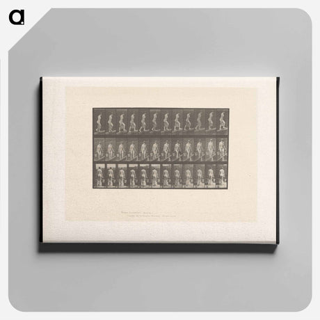 アートパネル-Ascent with Buckets
 - エドワード マイブリッジ Canvas.