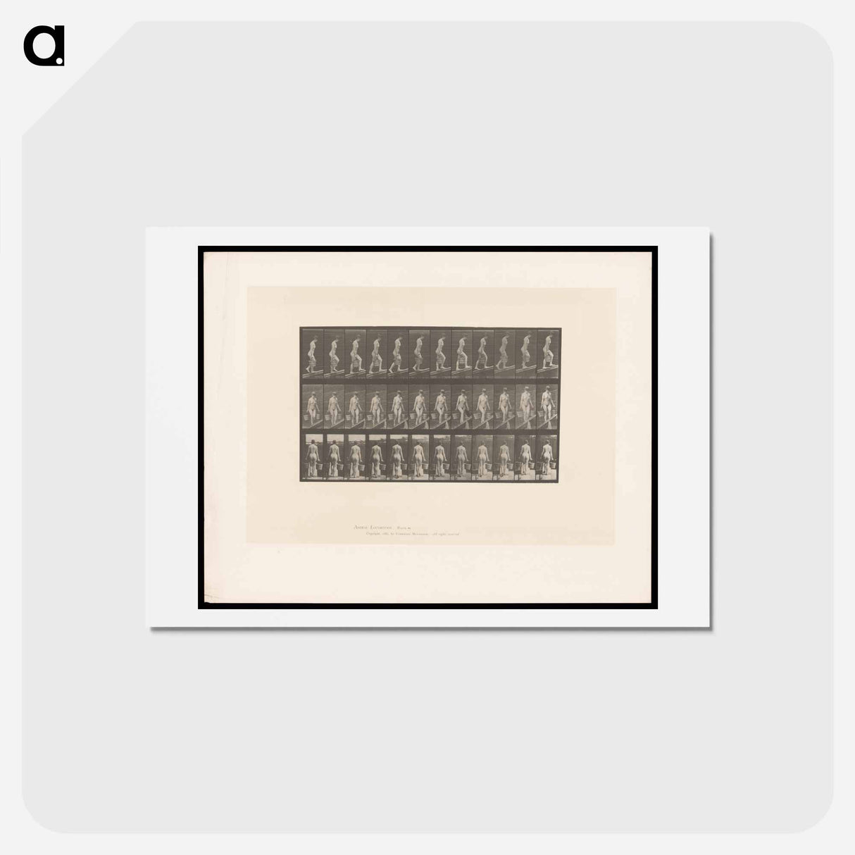 アートポストカード-Ascent with Buckets
 - エドワード マイブリッジ Postcard.