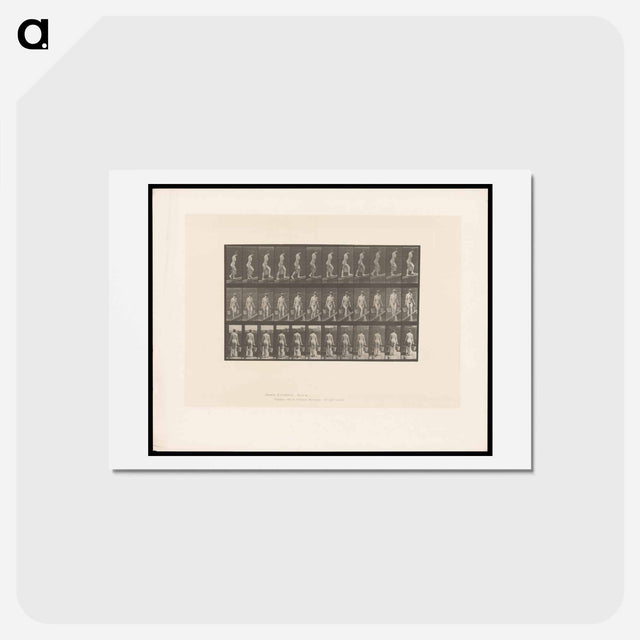 アートポストカード-Ascent with Buckets
 - エドワード マイブリッジ Postcard.