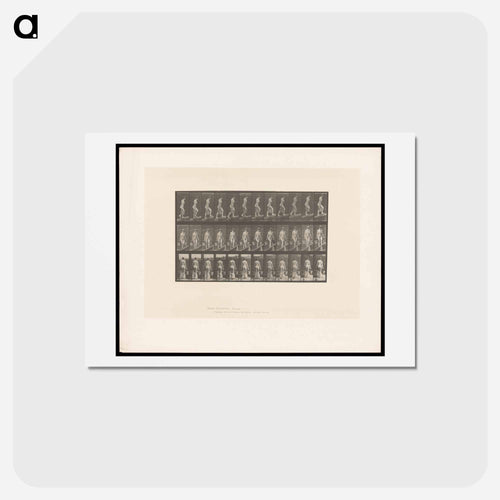 Ascent with Buckets
 - エドワード マイブリッジ Postcard.