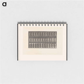 アートメモ帳-Ascent with Buckets
 - エドワード マイブリッジ Memo.