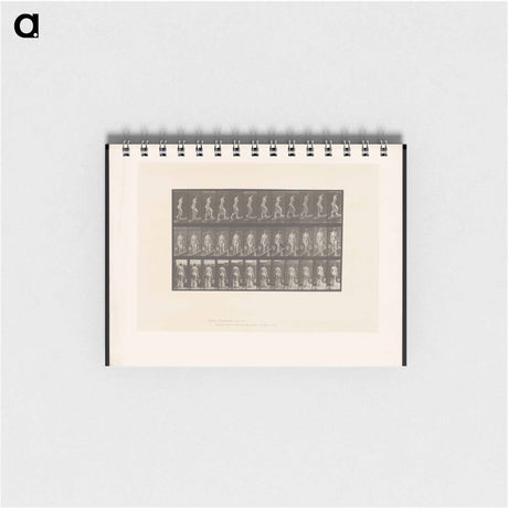 アートメモ帳-Ascent with Buckets
 - エドワード マイブリッジ Memo.