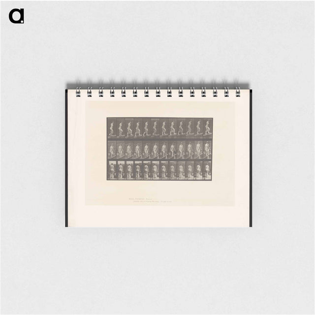 アートメモ帳-Ascent with Buckets
 - エドワード マイブリッジ Memo.