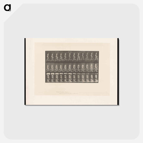 アートポストカード-Ascent with Buckets
 - エドワード マイブリッジ Postcard.