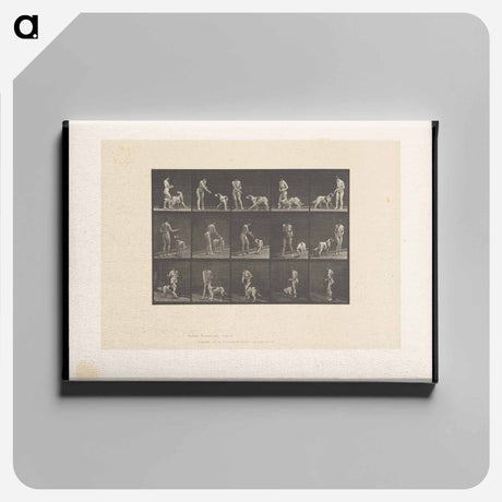 アートパネル-Woman Feeding a Dog
 - エドワード マイブリッジ Canvas.