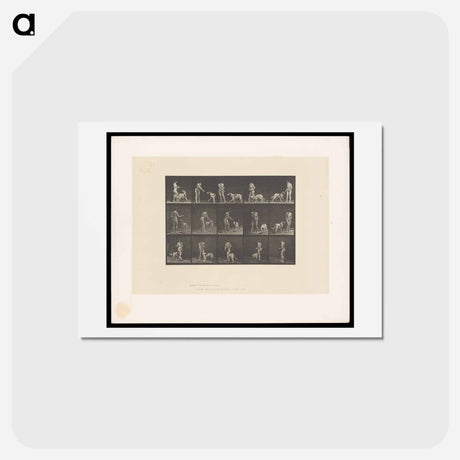 アートポストカード-Woman Feeding a Dog
 - エドワード マイブリッジ Postcard.