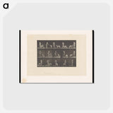 アートポストカード-Woman Feeding a Dog
 - エドワード マイブリッジ Postcard.