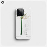 Caribbean spider-lily illustration - Pierre Joseph Redouté Phone Case.