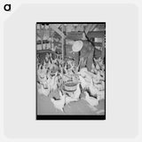 アートポストカード-Arizona Chickens
 - ラッセル リー Postcard.