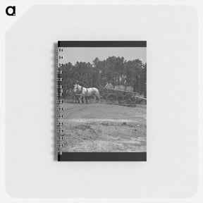 アートメモ帳-Untitled photo - ドロテア ラング Memo.
