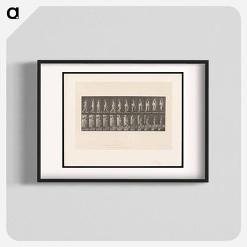 Ascending Nude
 - エドワード マイブリッジ Poster.